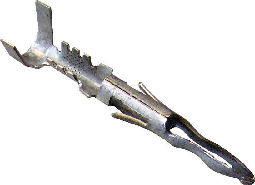 DV_ZoomOriginal_I_1446731.jpg