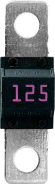 DV_ZoomOriginal_I_1495212.jpg