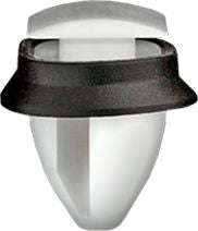 DV_ZoomOriginal_I_1541581.jpg