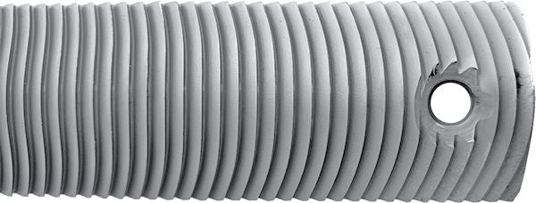 DV_ZoomOriginal_I_1636299_CP1.jpg