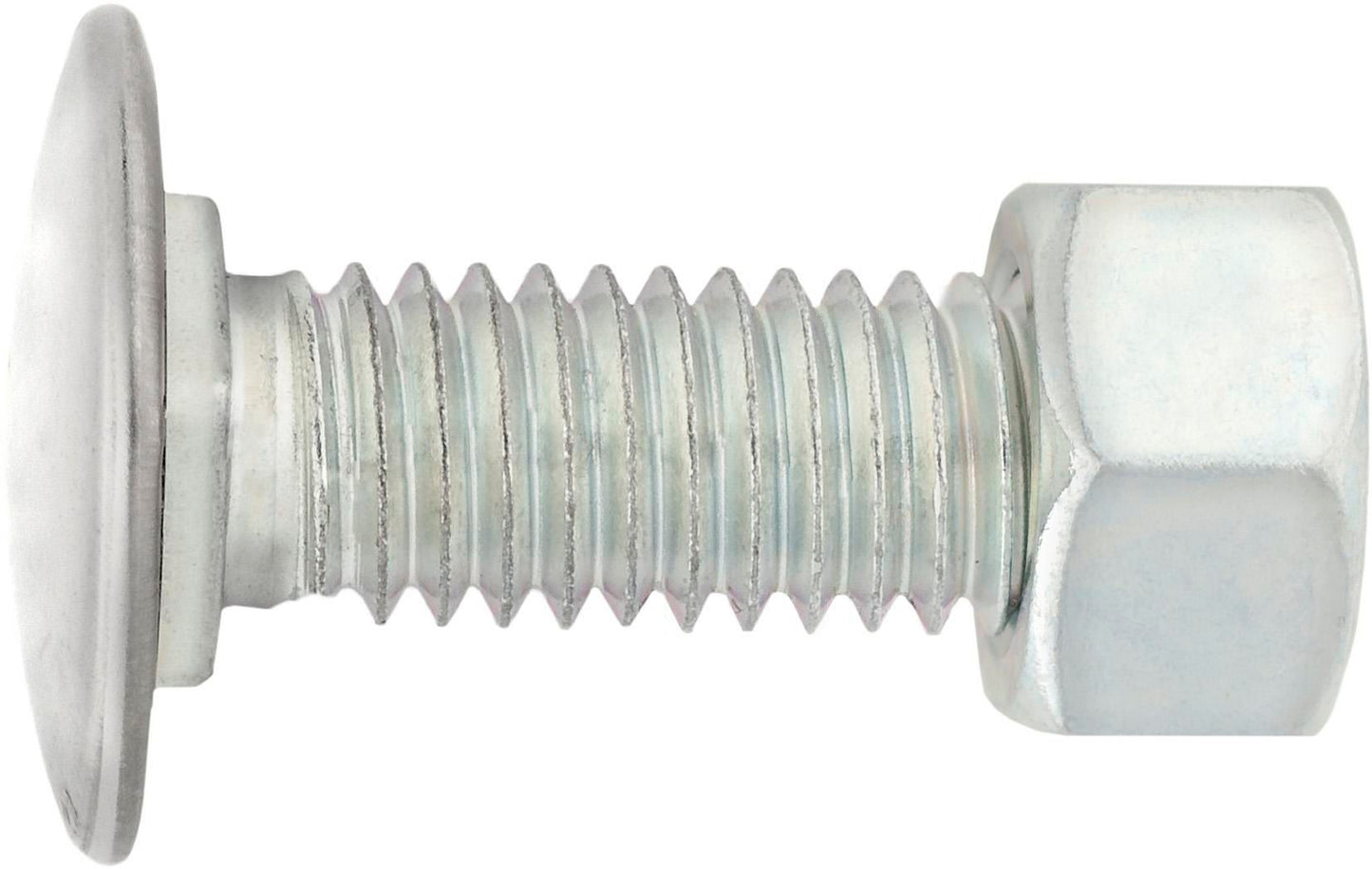 DV_ZoomOriginal_I_1679203.jpg