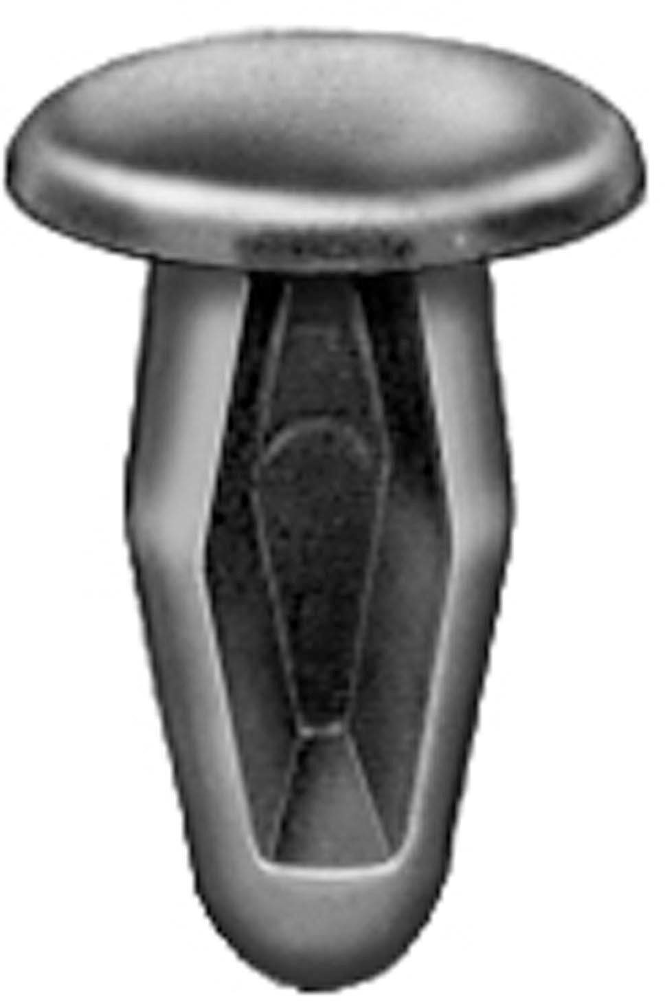 DV_ZoomOriginal_I_1679427.jpg