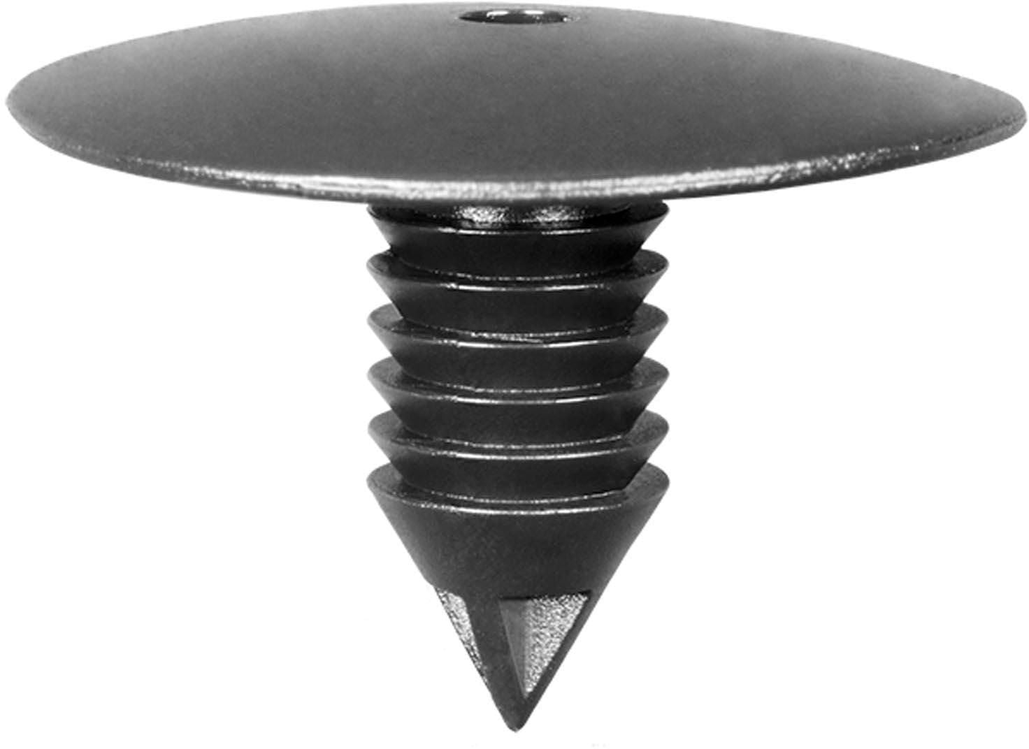 DV_ZoomOriginal_I_1680017.jpg