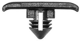 DV_ZoomOriginal_I_1680052.jpg