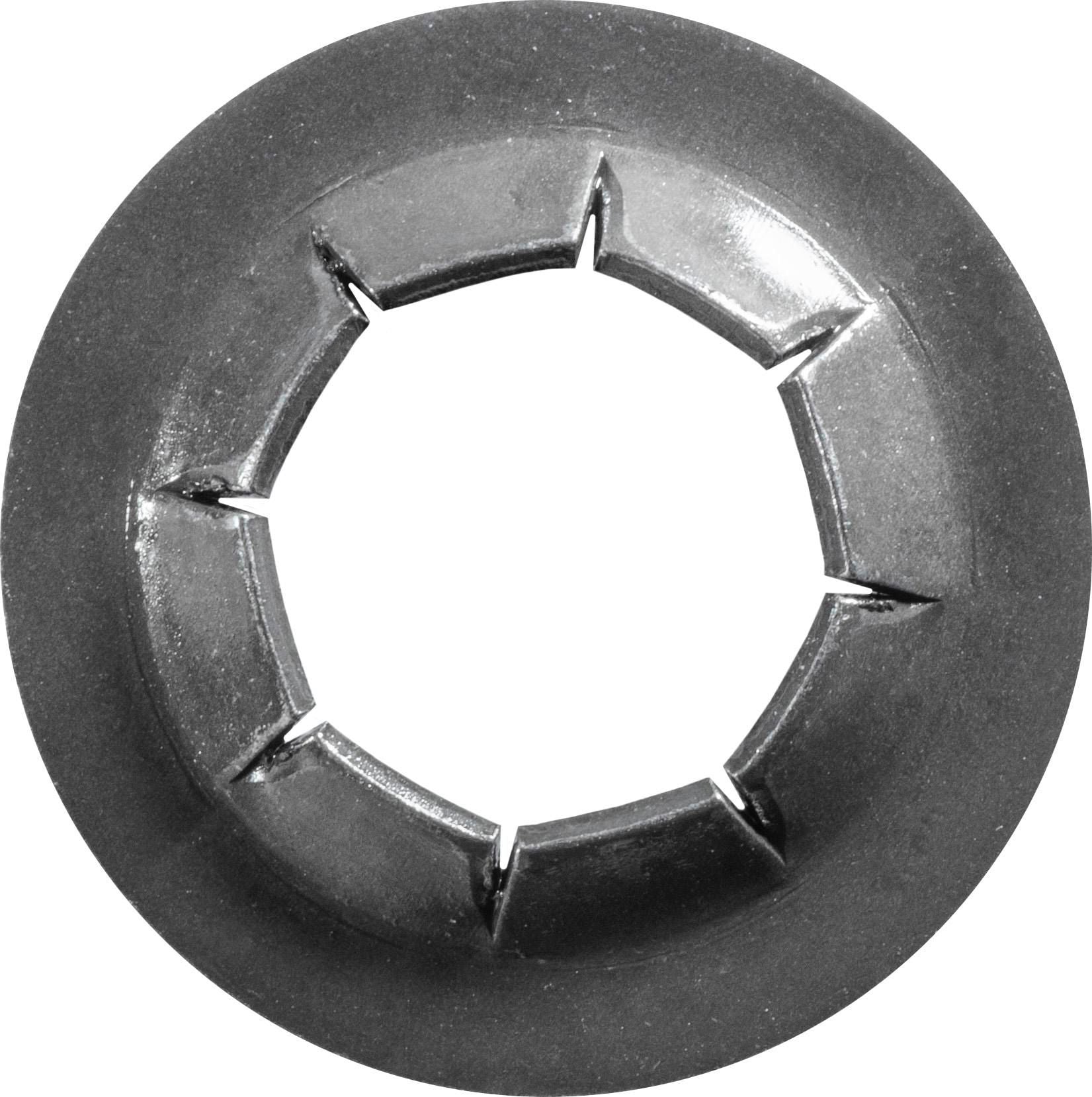 DV_ZoomOriginal_I_1680406.jpg
