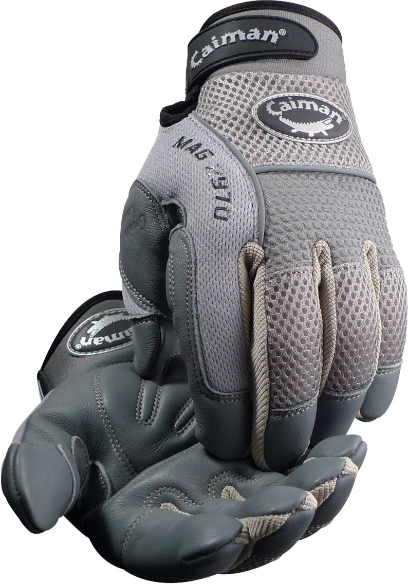 DV_ZoomOriginal_I_1694431.jpg