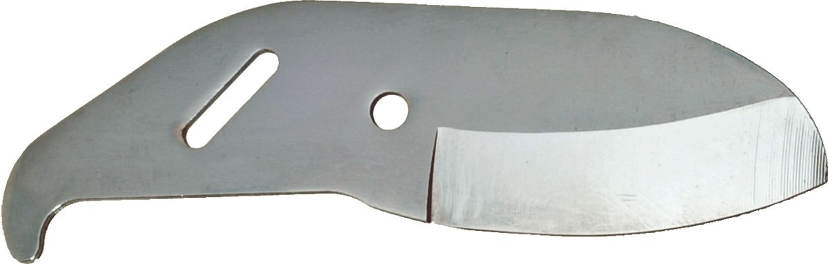 DV_ZoomOriginal_I_28931.jpg