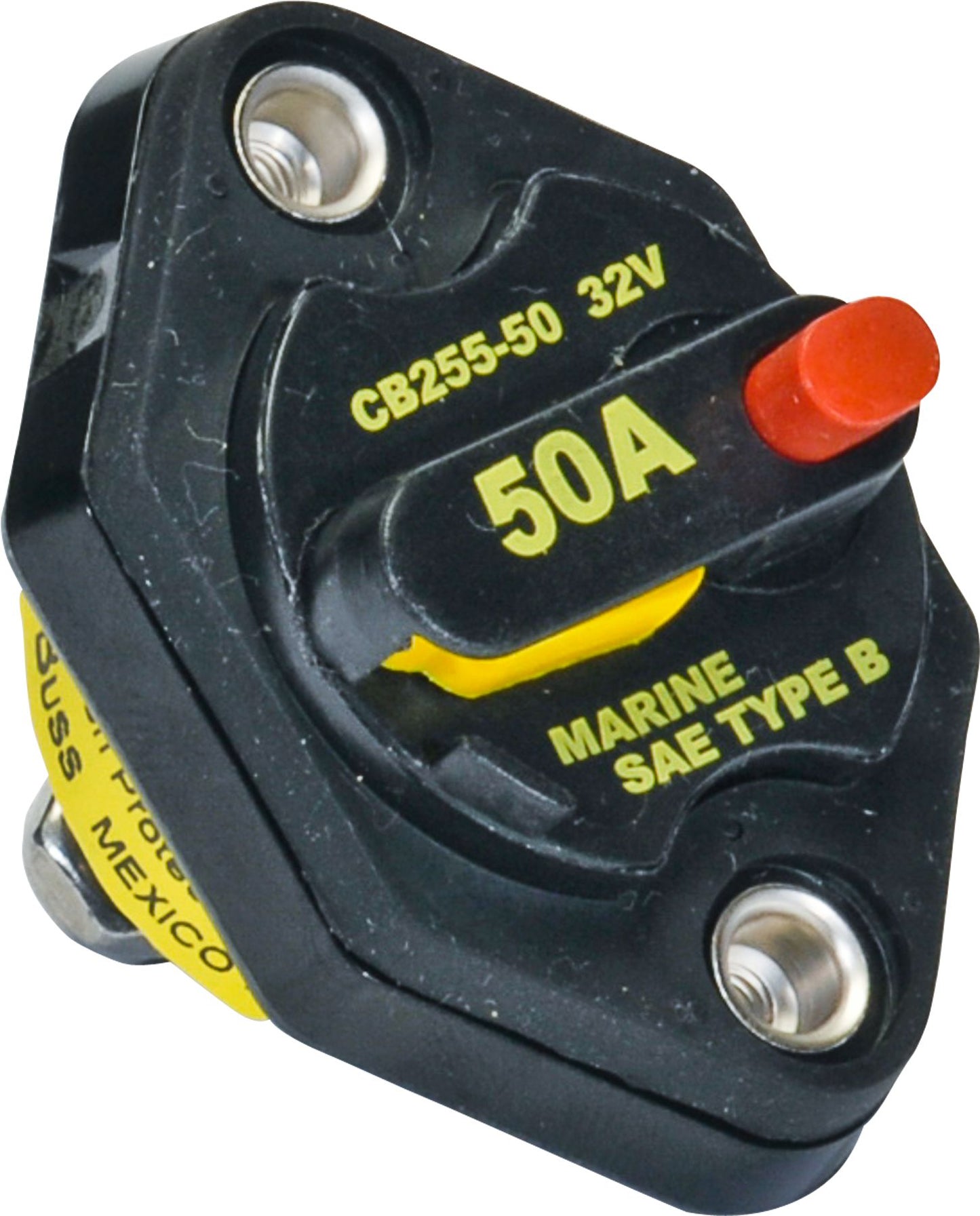 DV_ZoomOriginal_I_50263.jpg