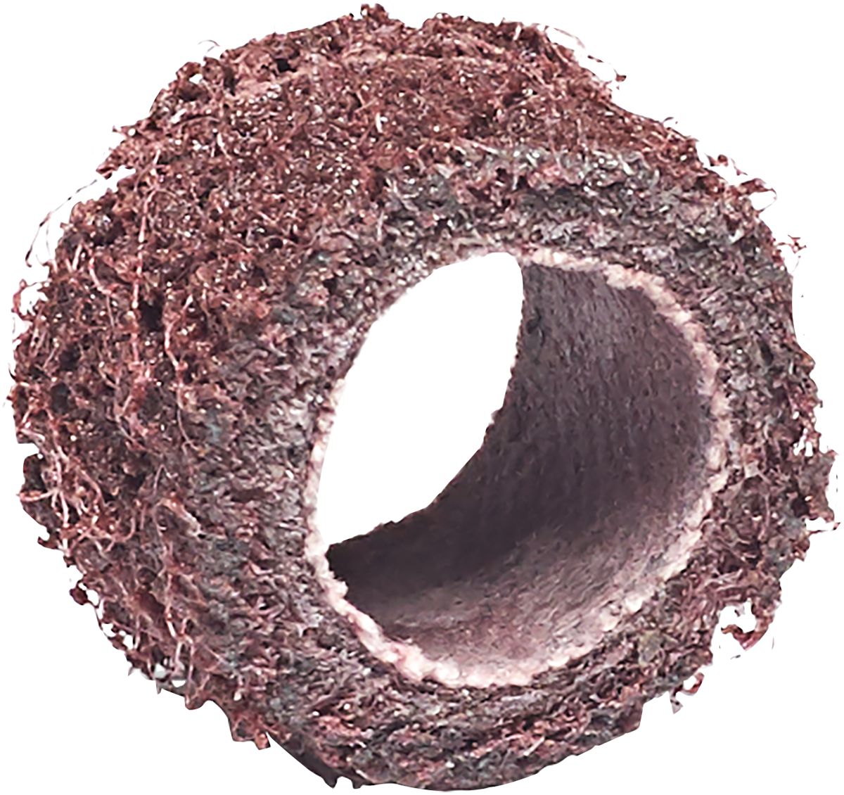 DV_ZoomOriginal_I_50861.jpg