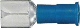 DV_ZoomOriginal_I_5822.jpg