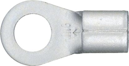 DV_ZoomOriginal_I_5863.jpg