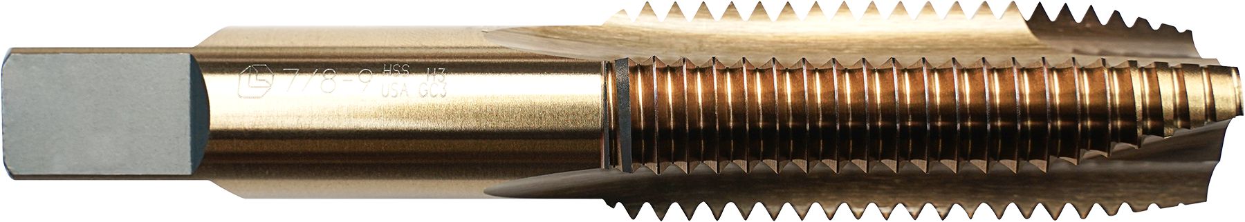 DV_ZoomOriginal_I_61146.jpg
