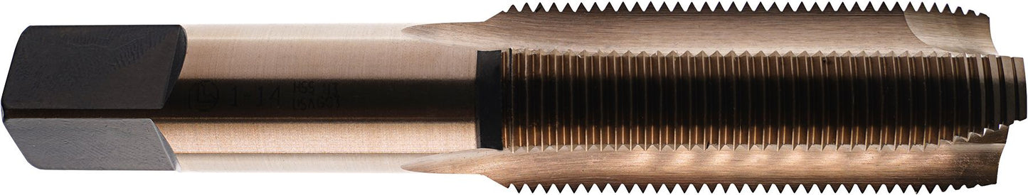 DV_ZoomOriginal_I_61149.jpg