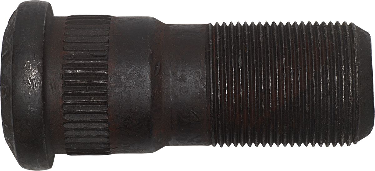 DV_ZoomOriginal_I_81531.jpg