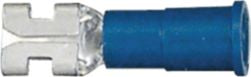 DV_ZoomOriginal_I_82922.jpg