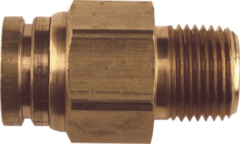 DV_ZoomOriginal_I_91792.jpg
