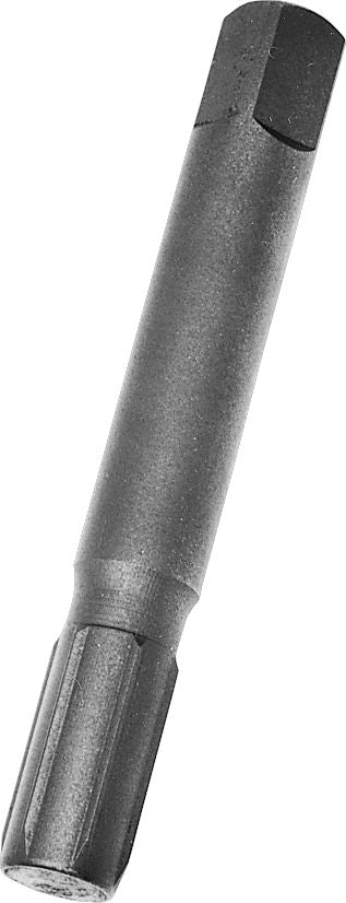 DV_ZoomOriginal_I_9830.jpg