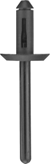 DV_ZoomOriginal_I_KT11267.jpg