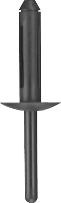 DV_ZoomOriginal_I_KT11282.jpg