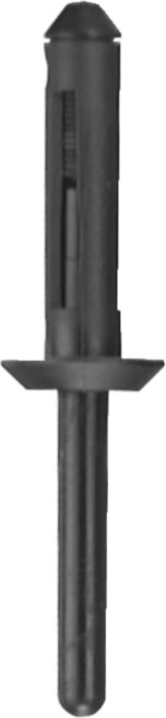 DV_ZoomOriginal_I_KT11283.jpg