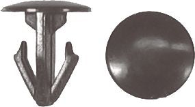DV_ZoomOriginal_I_KT11350.jpg