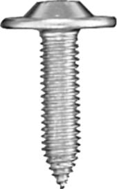 DV_ZoomOriginal_I_KT11569.jpg