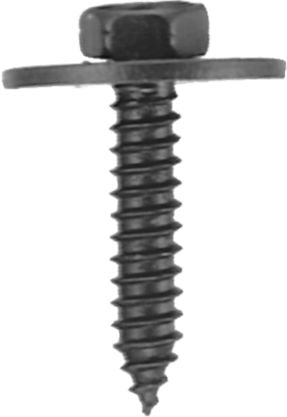 DV_ZoomOriginal_I_KT11572.jpg