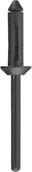 DV_ZoomOriginal_I_KT11586.jpg