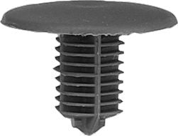 DV_ZoomOriginal_I_KT12330.jpg