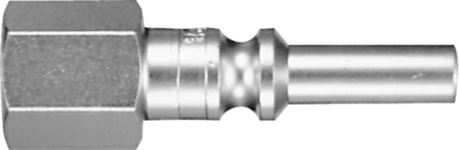 DV_ZoomOriginal_I_KT12642.jpg
