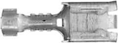 DV_ZoomOriginal_I_KT12872.jpg