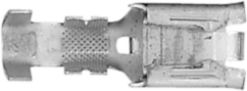 DV_ZoomOriginal_I_KT12873.jpg