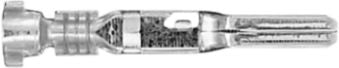 DV_ZoomOriginal_I_KT12890.jpg