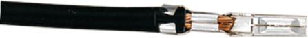 DV_ZoomOriginal_I_KT12910.jpg