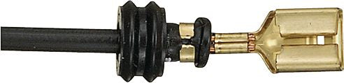 DV_ZoomOriginal_I_KT12911.jpg