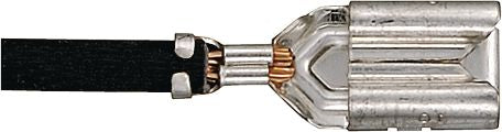 DV_ZoomOriginal_I_KT12917.jpg