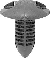 DV_ZoomOriginal_I_KT12981.jpg