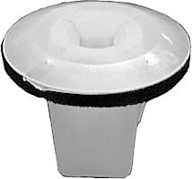 DV_ZoomOriginal_I_KT13498.jpg