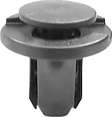 DV_ZoomOriginal_I_KT13499.jpg