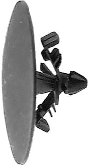 DV_ZoomOriginal_I_KT13502.jpg