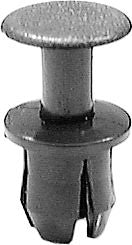 DV_ZoomOriginal_I_KT13554.jpg