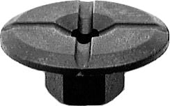 DV_ZoomOriginal_I_KT13562.jpg