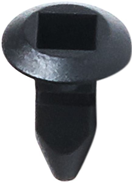 DV_ZoomOriginal_I_KT13777.jpg