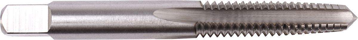 DV_ZoomOriginal_I_PM08230007.jpg