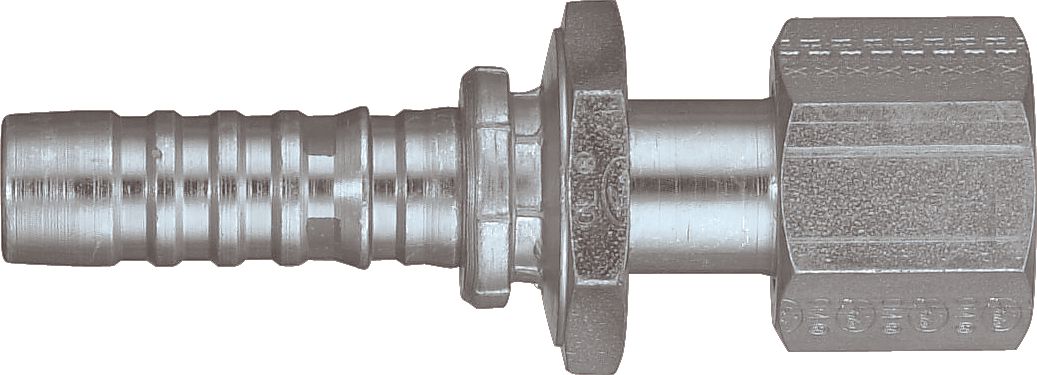 DV_ZoomOriginal_P_10661.jpg