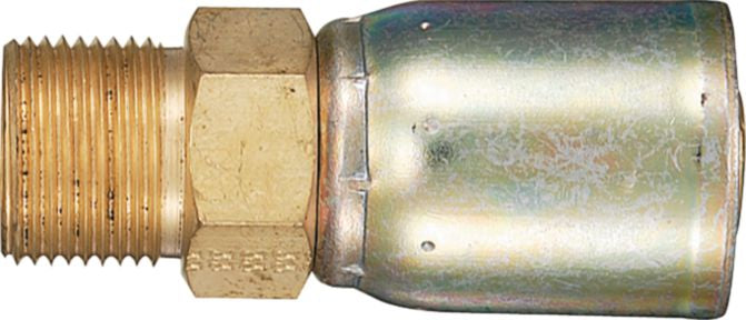 DV_ZoomOriginal_P_19044.jpg