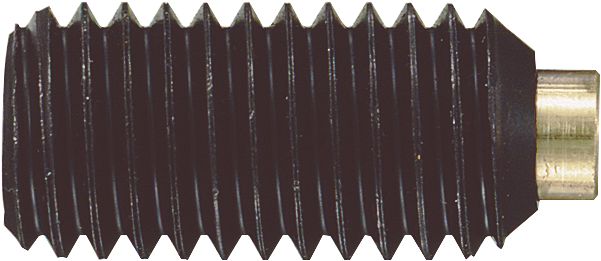 DV_ZoomOriginal_P_30601.jpg