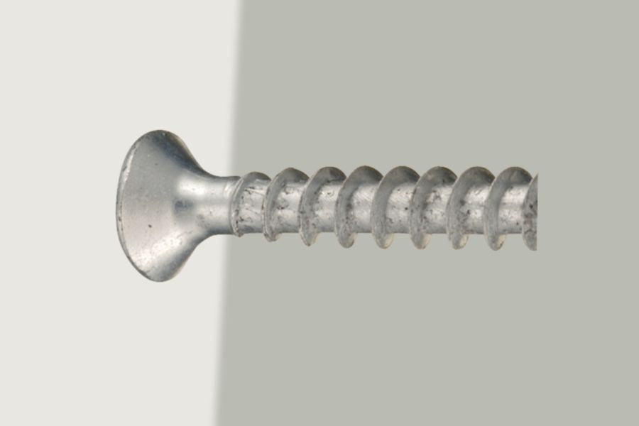 DV_ZoomOriginal_P_30625_CP2.jpg