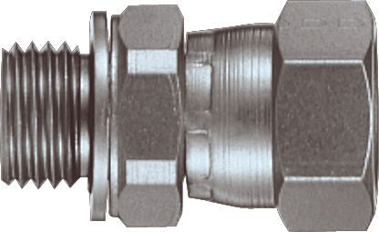 DV_ZoomOriginal_P_31273.jpg