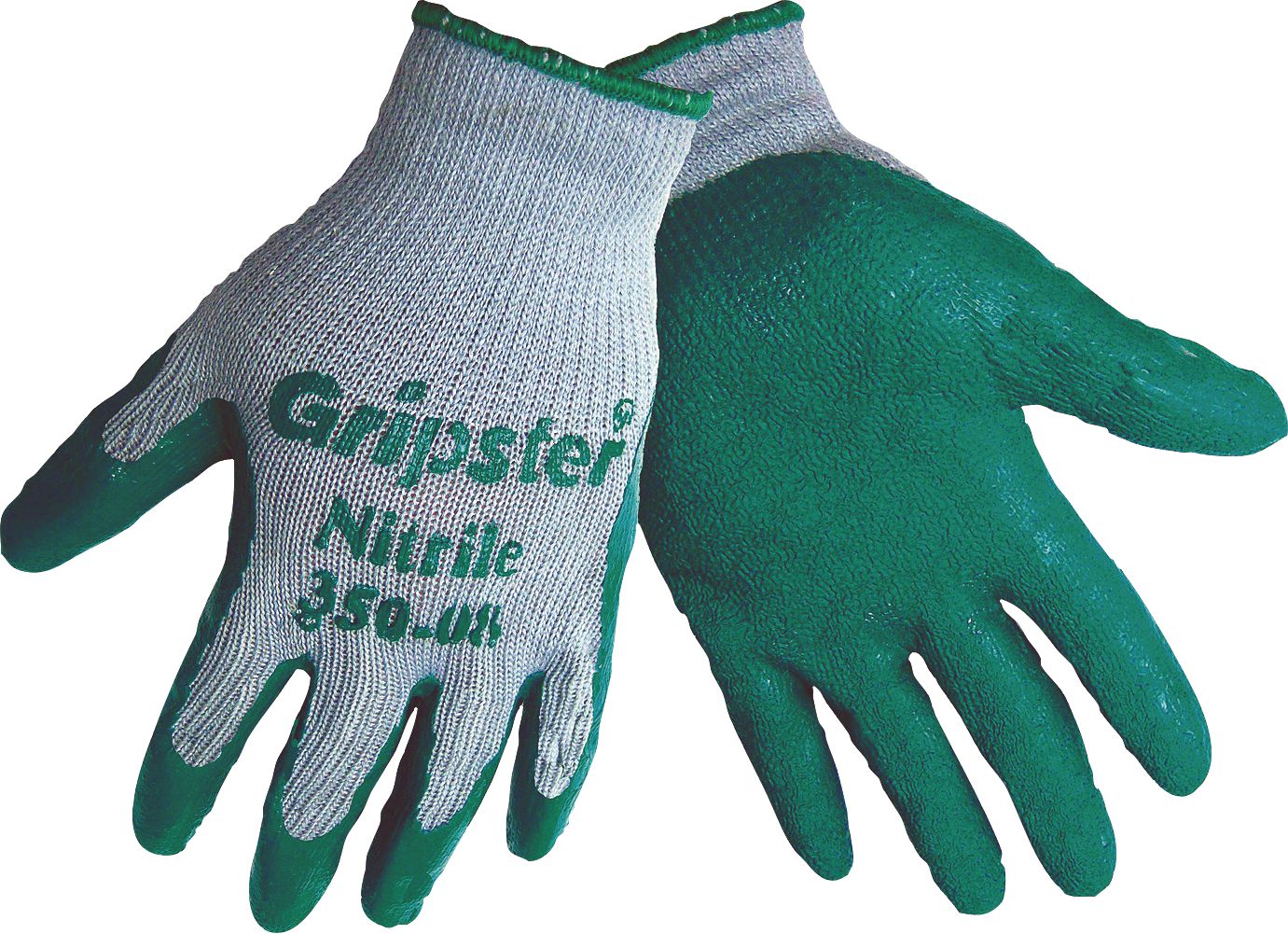 DV_ZoomOriginal_P_38553.jpg